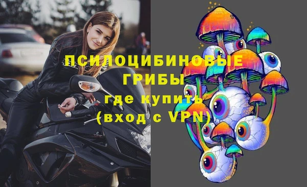 твердый Алексеевка