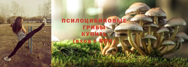 твердый Алексеевка