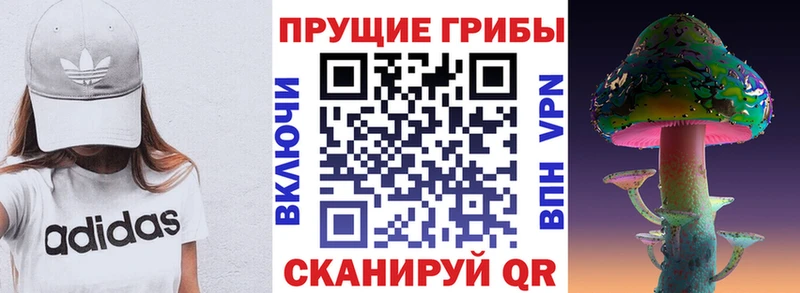 магазин наркотиков Бокситогорск Галлюциногенные грибы прущие грибы